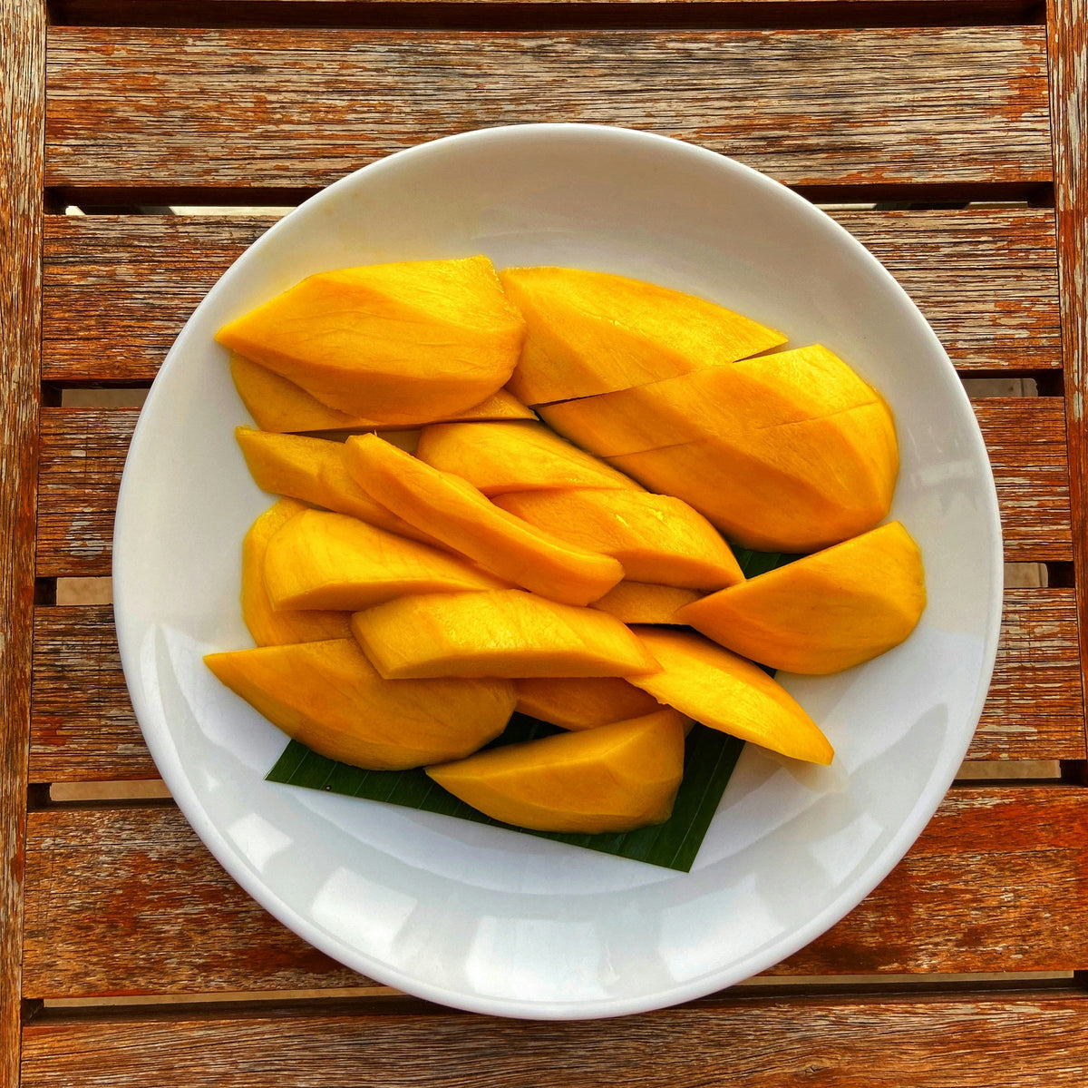 Rare Mango Varieties Guide: Cotton Candy, Pineapple Pleasure, Lemon Zest and More