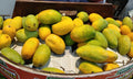 Kesar mango fruit