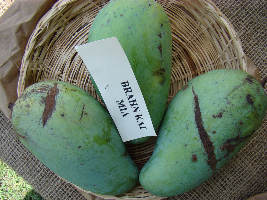 Pram Kai Mea mango fruit