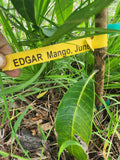 Edgar Mango – Pre-Order